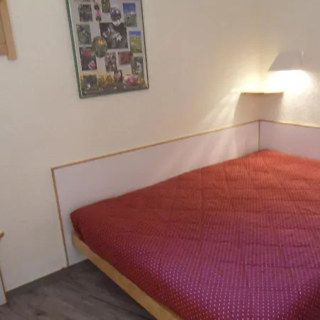 Apartment Skis Aux Pieds Avec Balcon - Fr-1-181-2035